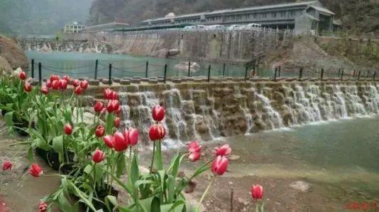 相亲后怎样才算确定恋爱关系你知道吗?- 专业有问必答平台